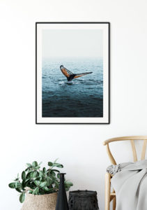The Majestic Humble Whale - Gustav Mørch