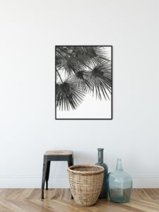Endless Summer - WIND - Studio Nahili Endless Summer - WIND - Studio Nahili