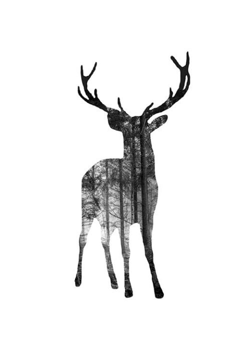 Deer in the woods Deer in the woods