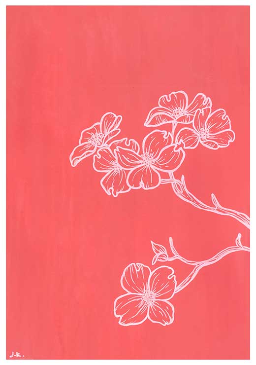Dogwood - Agave Designs Dogwood - Agave Designs