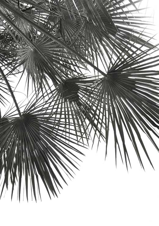 Endless Summer - WIND - Studio Nahili Endless Summer - WIND - Studio Nahili