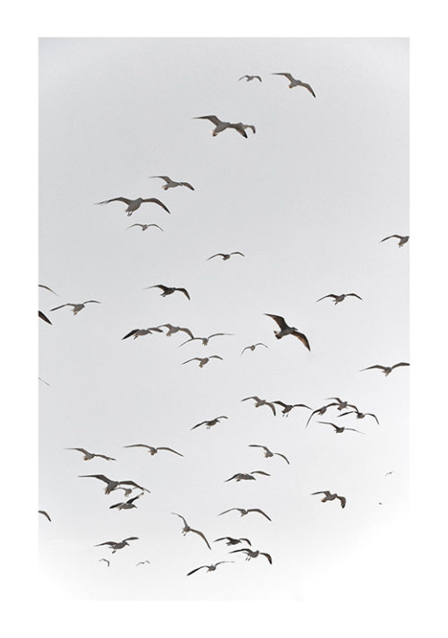 Fly HIGH - Studio Nahili Fly HIGH - Studio Nahili