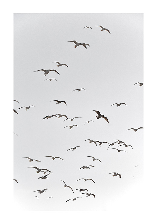 Fly HIGH - Studio Nahili Fly HIGH - Studio Nahili