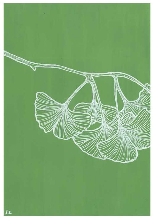 Ginkgo - Agave Designs Ginkgo - Agave Designs
