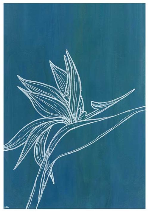 Bird of Paradise - Agave Designs Bird of Paradise - Agave Designs