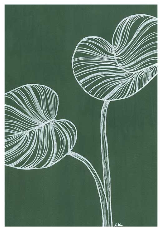 Philodendron - Agave Designs Philodendron - Agave Designs