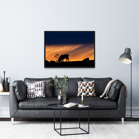 Reindeer in Silhouette - Anne Olsen-Ryum Reindeer in Silhouette - Anne Olsen-Ryum