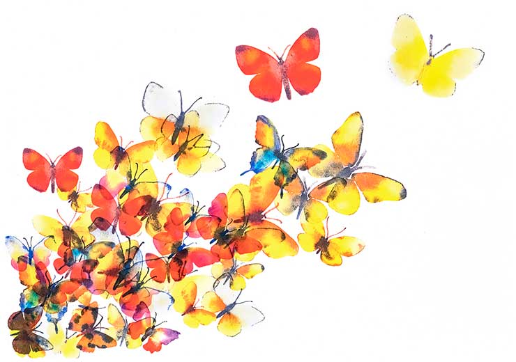 Butterflies - Turid T Butterflies - Turid T