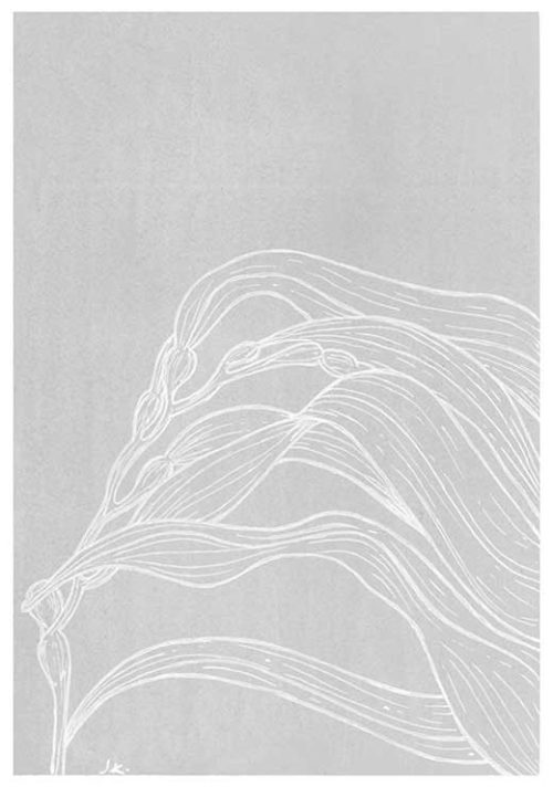 Under the Sea #1 BW - Agave Designs