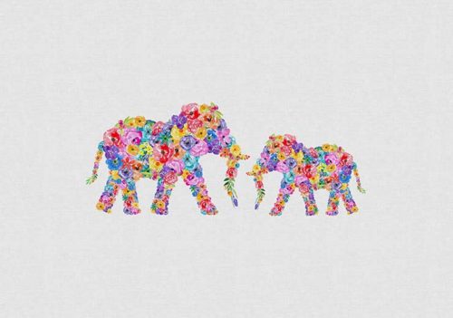 Floral Elephants - Orara Studio Floral Elephants - Orara Studio