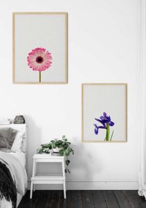 Iris Still Life - Orara Studio Iris Still Life - Orara Studio