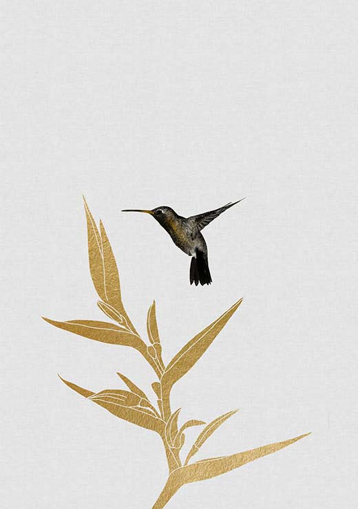 Hummingbird & Flower II - Orara Studio Hummingbird & Flower II - Orara Studio