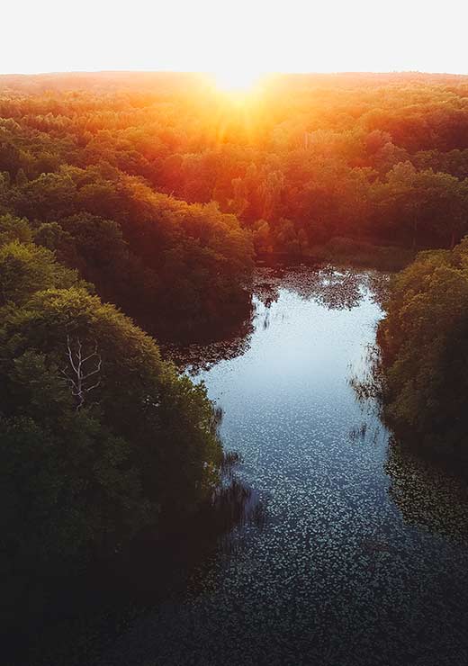 Sunset over the Forest Lake - Gustav Mørch Sunset over the Forest Lake - Gustav Mørch