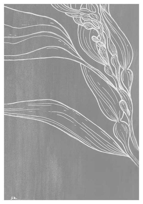 Under the Sea #2 BW - Agave Designs Under the Sea #2 BW - Agave Designs