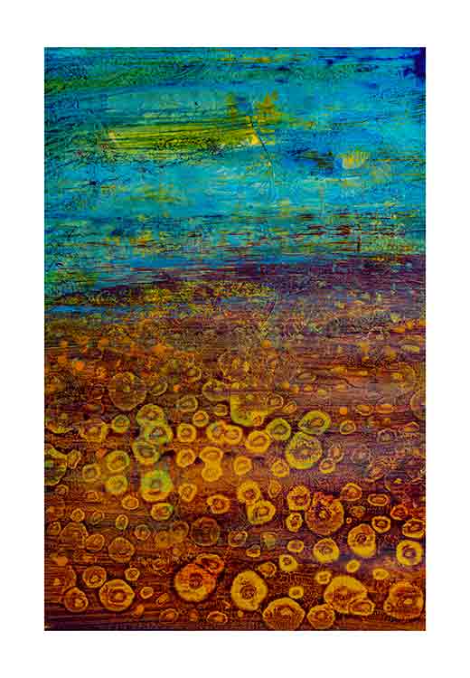 Sunflowers Field - Anne-Lee Sunflowers Field - Anne-Lee
