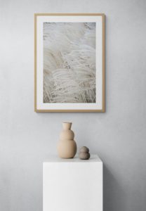 White Beige Boho DREAMS - Pampas - Studio Nahili White Beige Boho DREAMS - Pampas - Studio Nahili