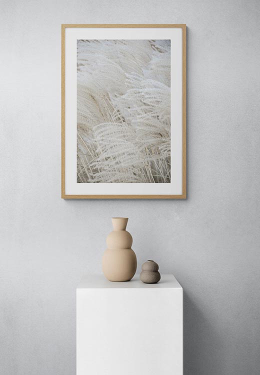 White Beige Boho DREAMS - Pampas - Studio Nahili White Beige Boho DREAMS - Pampas - Studio Nahili