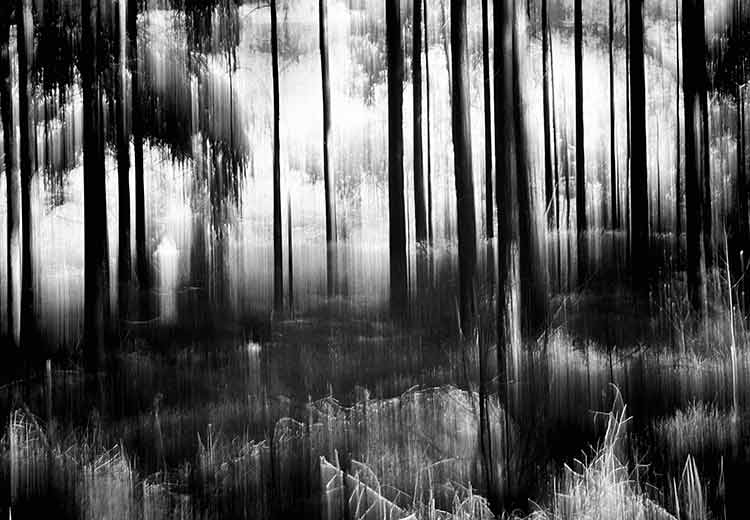 Silent Light - Jacob Berghoef Silent Light - Jacob Berghoef