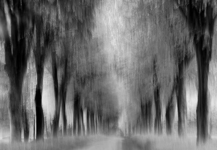 Endless Road - Jacob Berghoef Endless Road - Jacob Berghoef