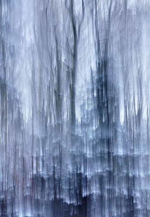Frozen Scent - Jacob Berghoef Frozen Scent - Jacob Berghoef